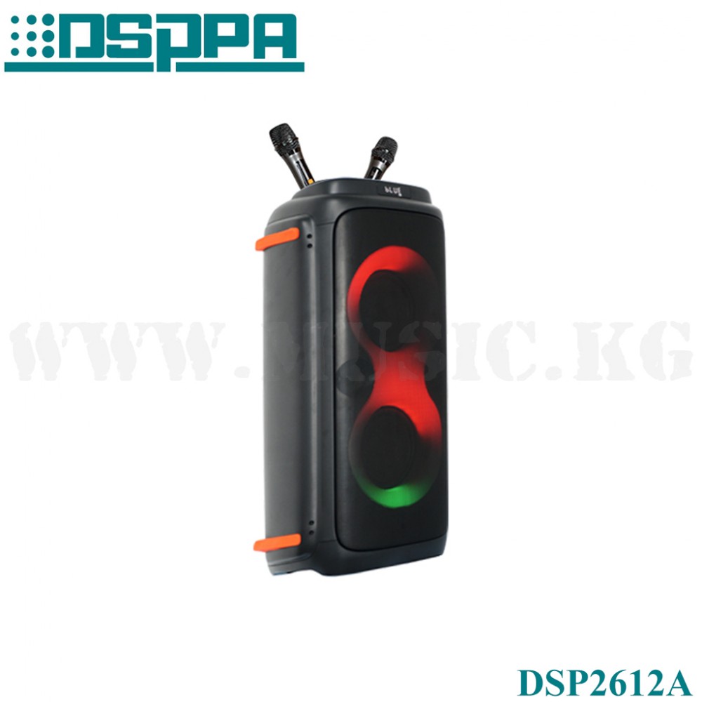 Портативная акустическая система DSPPA D2612A