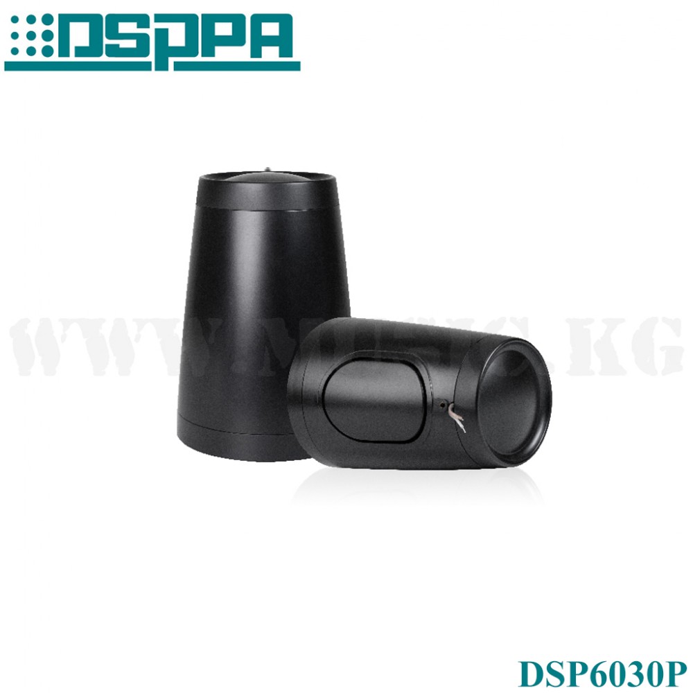 Подвесной громкоговоритель DSPPA DSP6030P