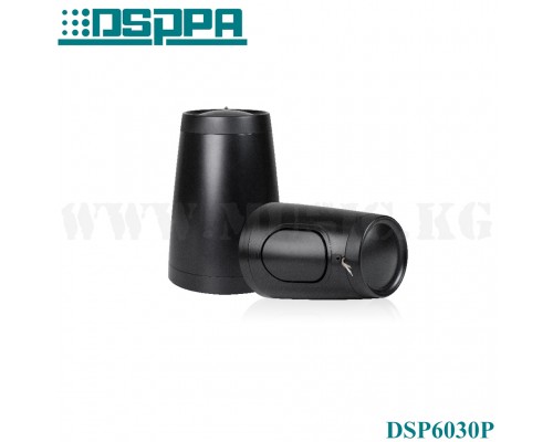 Подвесной громкоговоритель DSPPA DSP6030P