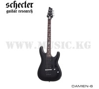 Электрогитара Schecter Damien Platinum-6 Satin Black
