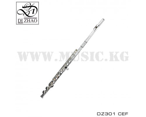 Поперечная флейта Di Zhao DZ301 CEF
