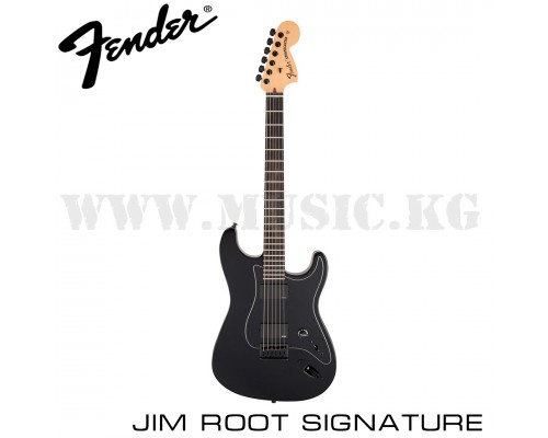 Электрогитара Fender Jim Root Stratocaster Signature