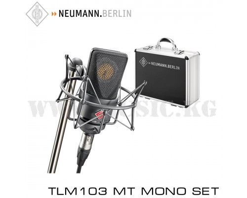 Студийный микрофон Neumann TLM 103 MT Mono set