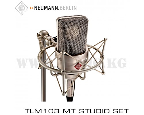Студийный микрофон Neumann TLM 103 MT Studio Set