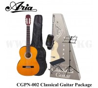 Классическая гитара Aria CGPN-002