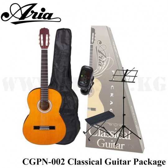Классическая гитара Aria CGPN-002