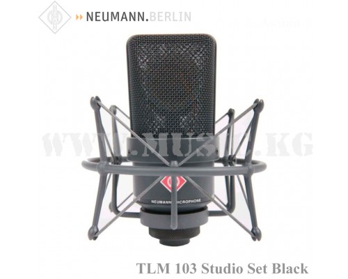 Студийный микрофон Neumann TLM 103 MT Studio Set Black