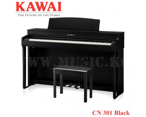 Цифровое фортепиано Kawai CN301 Premium Satin Black