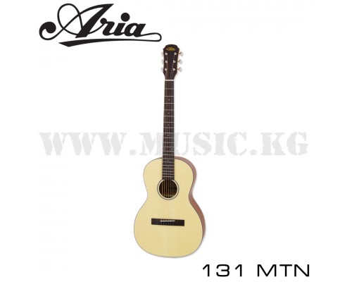 Акустическая гитара ARIA-131 MTN