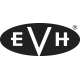 Немного о компании EVH