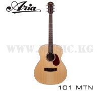 Акустическая гитара Aria 101 MTN