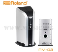 Монитор для цифровой ударной установки Roland PM-03