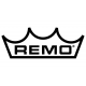 Немного о компании Remo