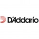 Немного о компании D'Addario