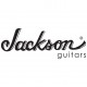 Немного о компании Jackson