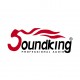 Немного о компании SoundKing