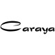 Немного о компании Caraya