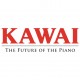 Немного о компании Kawai