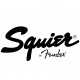 Немного о компании Squier