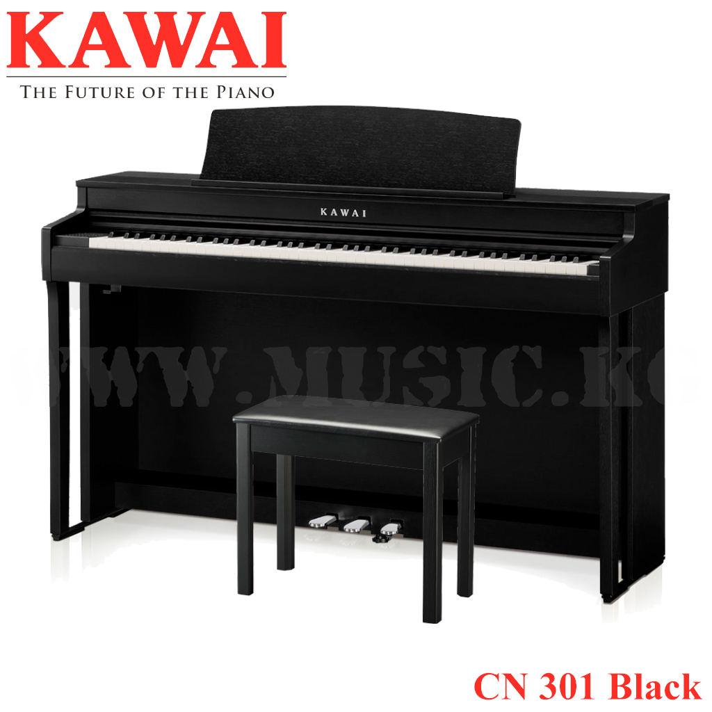 CN301 Black