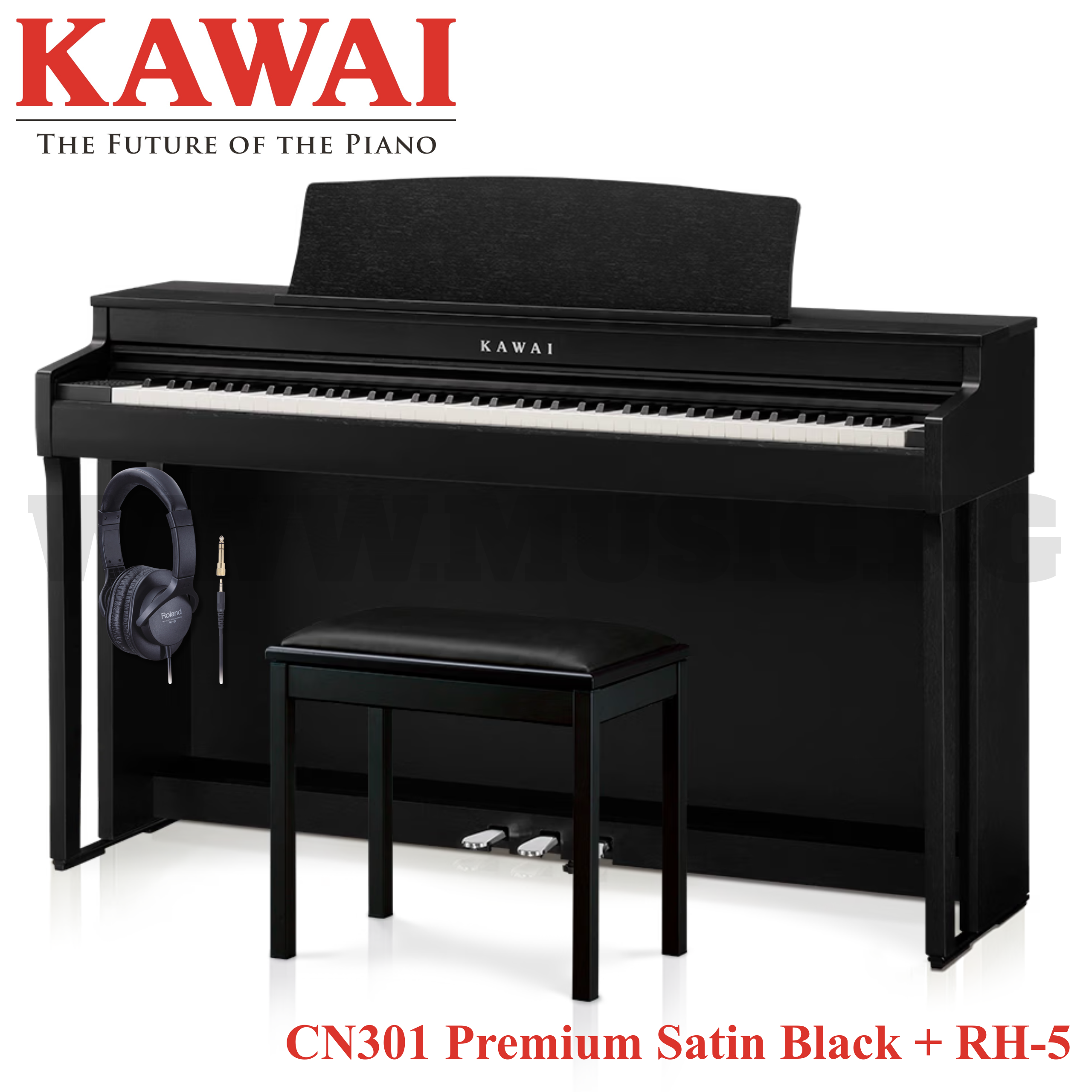 CN301 Premium Satin Black + RH-5