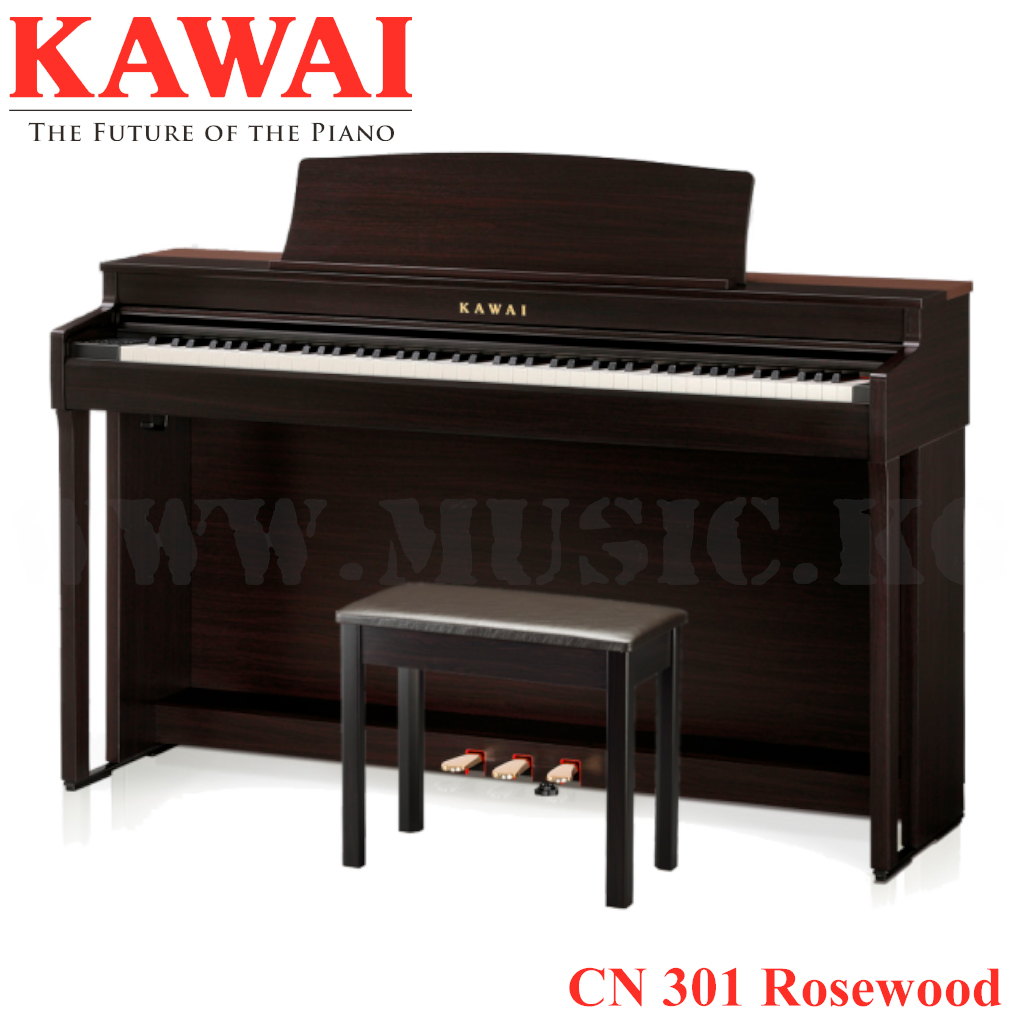 CN301 Rosewood