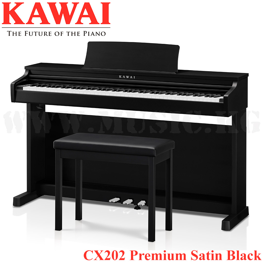 CX202 Premium Satin Black
