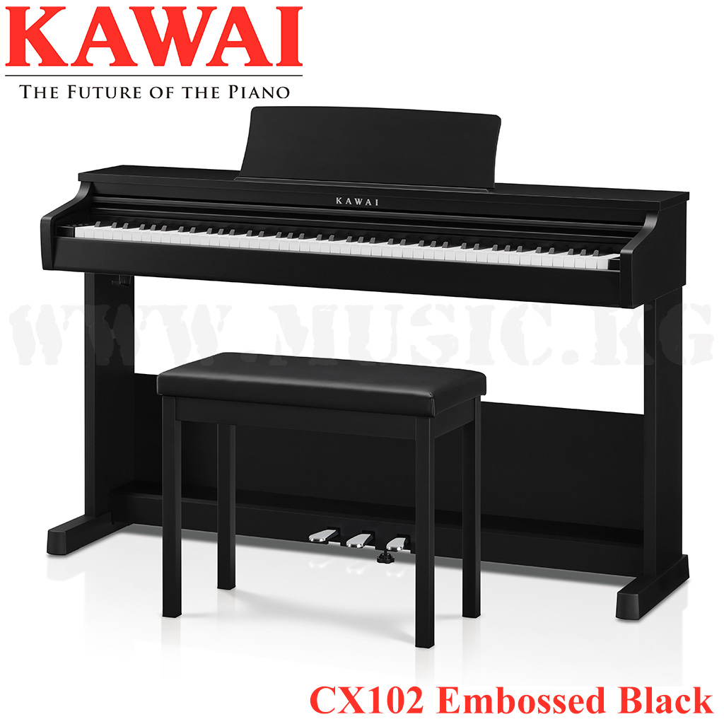 CX102 Embossed Black